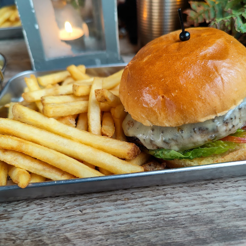 Born Up North (bun.) photo 1