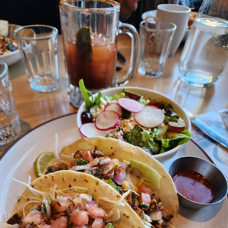 Cilantro's Modern Indian Cuisine - Portage photo 4
