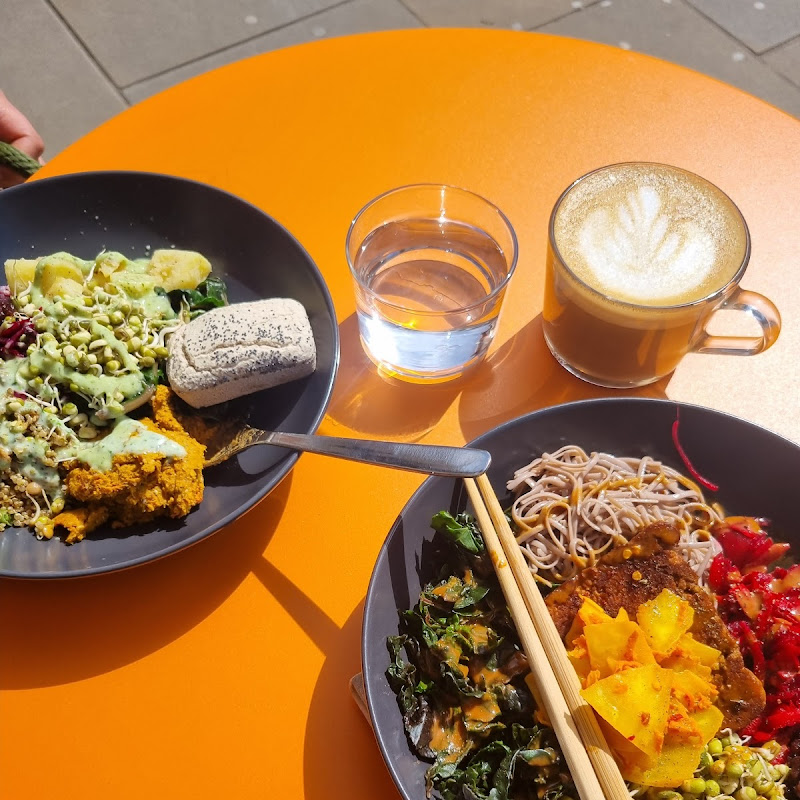 Daily Bowl® photo 2