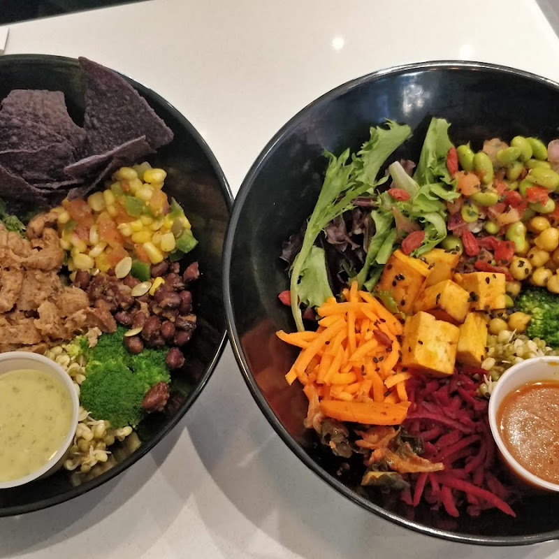 Graceful Vegetarian Restaurant 法海素食軒 photo 2