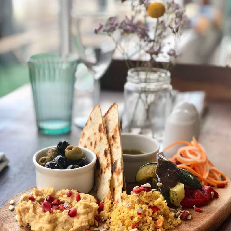 Greek Olive photo 2