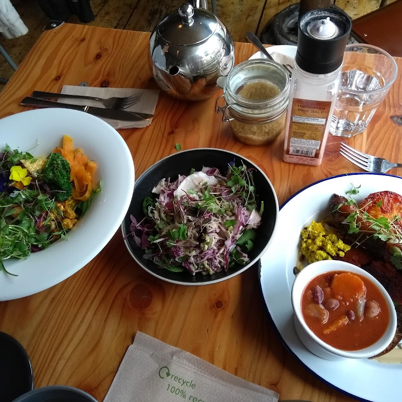 Plant Based Paradise photo 1
