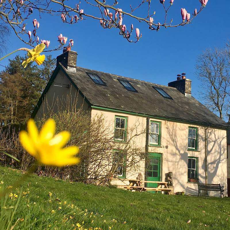 Robin's Realm - C18th Holiday cottage & Victorian farmhouse in Wales photo 1