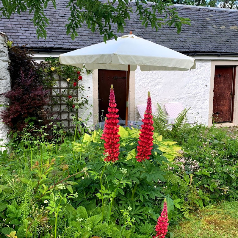 Souters Inn photo 3