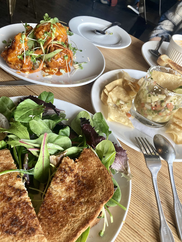 Vegan and Vine